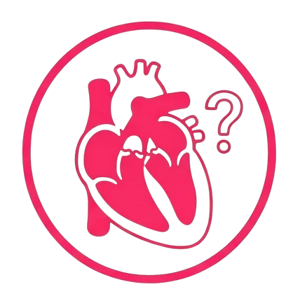 Обучение клапанной патологии в ЭхоКГ