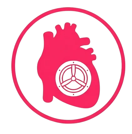 Обучение оценке клапанных протезов