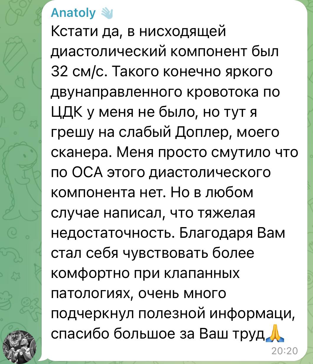 Отзыв по клапанной патологии 2